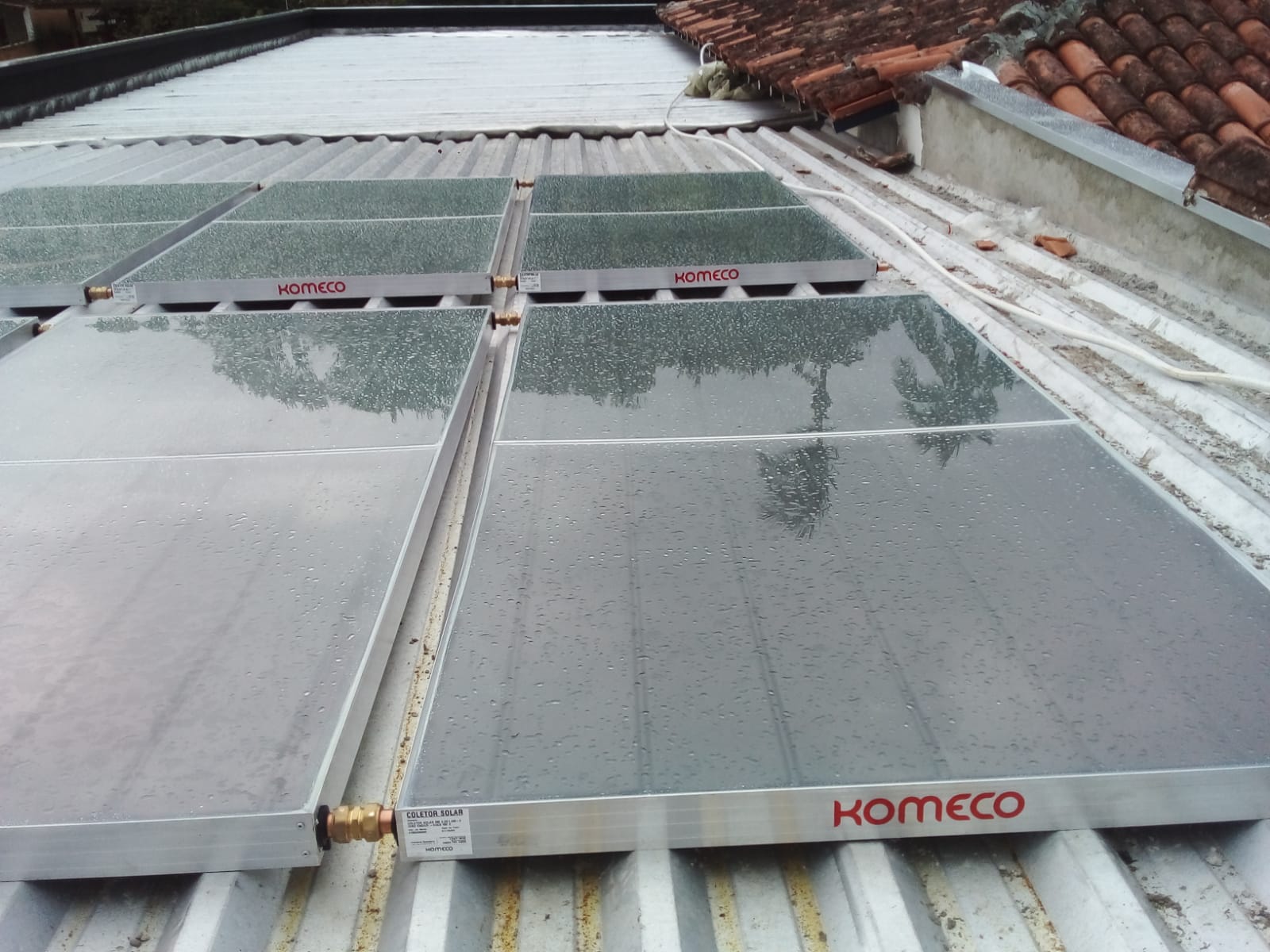 Imagem do WhatsApp de 2025-01-18 à(s) 18.40.04_9aa3994e.jpg